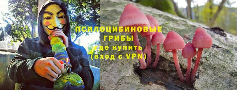 MEGA рабочий сайт  наркотики  Сольвычегодск  Галлюциногенные грибы Psilocybine cubensis 